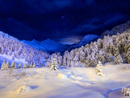 Winter night in the mountain - trees, mountain, winter, night, white, covered, snow, blue, beautiful