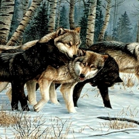 Wolf Gathering.