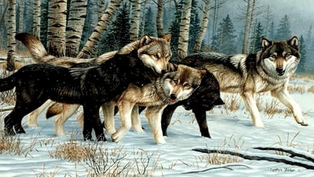 Wolf Gathering. - forrest, wolves, winter, snow