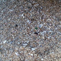 Shelly sand of Shelly Beach, South Africa