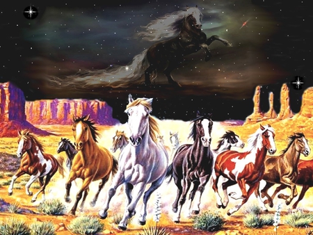 HORSES - horses, canyon, animals, color, 2012, frame