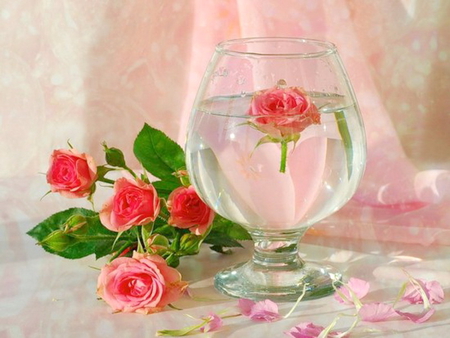 Love floats - float, rose bowl, coral, water, green