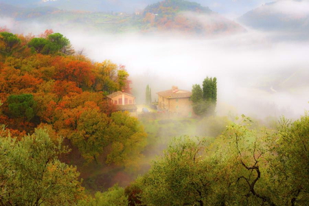 Misty moor - cottage, trees, mountain, mist, bushes