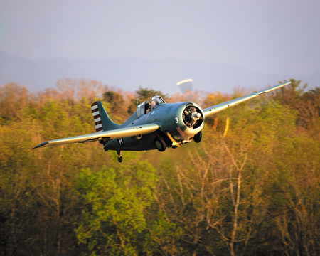 F4F Wildcat - f4f, ww2, plane, airplane, antique, world, grumman, wwii, war, classic, wildcat