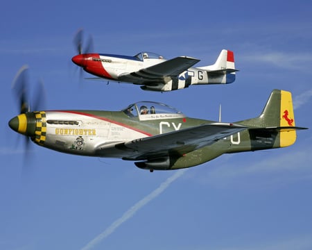 P51 Mustang Fight - north, ww2, american, plane, antique, airplane, world, p51, war, wwii, mustang, p-51, classic