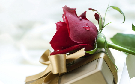 gift with flower - golden, gift, lovely, flower