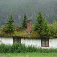 tree house