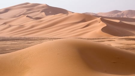 the strength of the sand - girls, paradise, nature, others