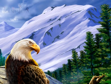 for you trikerider - handsome, gorgeous, eagle, beautiful, bird