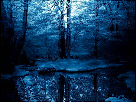 Winter Blues - sky, trees, hot, forest, woods, blue, stream, water