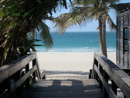 Steps To Paradise - beach, ocean, trees, walkway, paradise, path