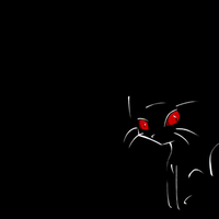 kitty in Dark