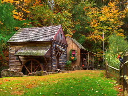 Farm in autumn - autumn, fence, fall, farm, forest, animals, leaves, house