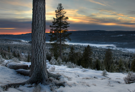 Winter time - sky, landscape, places, trees, image, winter, time, gold, nature, white, forest, cold, clouds, snow, beautiful