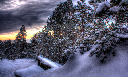 Let it snow.. - forest, winter, landscape, beauty, amazing, hdr, time, white, sky, places, clouds, image, trees, nature, snow, cold