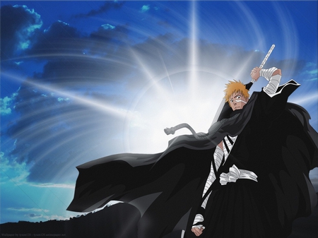 I will save you - fighter, ichigo, save, bleach