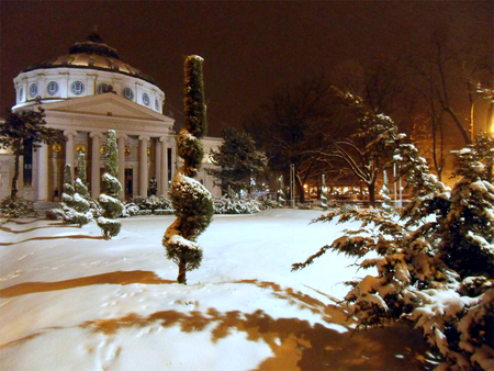 Romanian Athenaeum - romanian athenaeum, winter, monument, white, nature, romania, snow, bucharest, tree