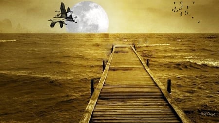 Moon Rising - clouds, water, sepia, sea, gold, dock, lake, ducks, full moon, sky