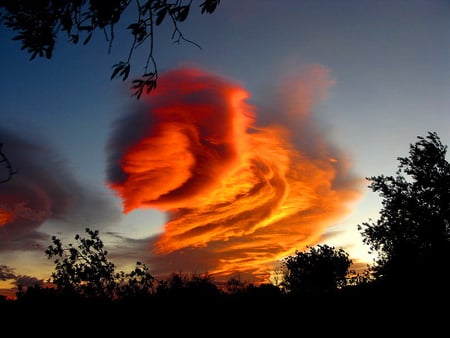 Red clouds - clouds, trees, magic, summer, red, interesting, sky