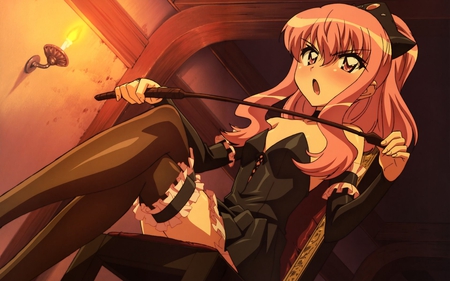 Louise Francoise - louise, sexy, zero no tsukaima, girl, anime