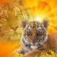 Tiger.