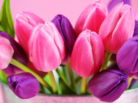 Tulips in basket - nice, tulips, bouquet, lovely, violet, pretty, beautiful, pink, baske, flowers