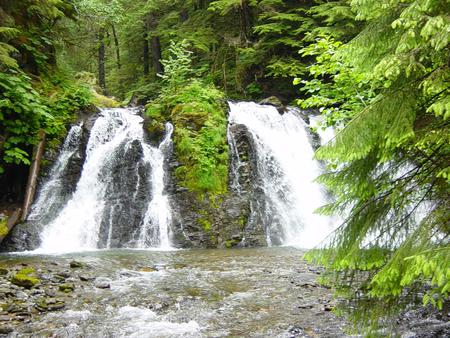 Waterfalls - waterfalls, trees, nature