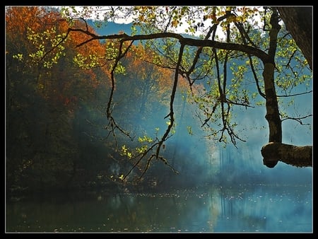 last autumn - last, lake, tree, autumn