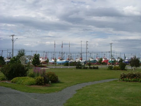 Untitle - boat, cloud, poles, grass, tree