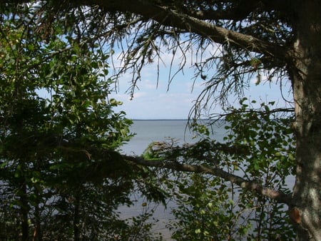 Untitle - sky, trees, river