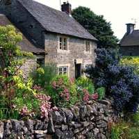 	a house in wild flowers