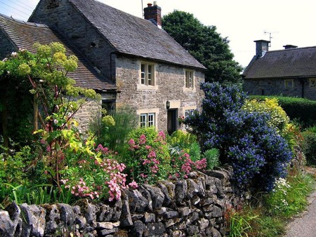 	a house in wild flowers - flowers, house, wild