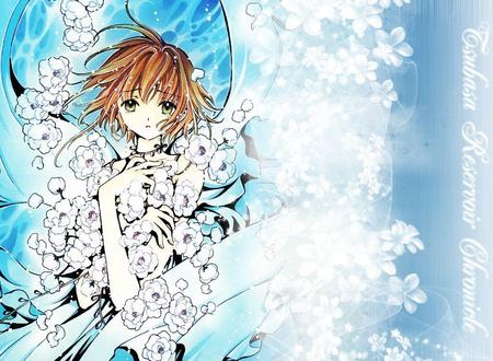 Sakura - flowers, anime, sakura, wings, tsubasa chronicle, shaoran