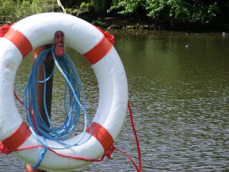 Ring and pond - ring, water, pond