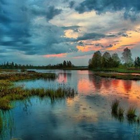 Blue Sunset Lake Swamp