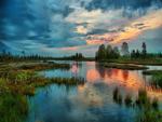 Blue Sunset Lake Swamp