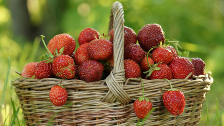 Strawberry basket