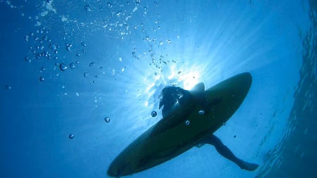 Sharks Eye View - water, board, surfer, sea