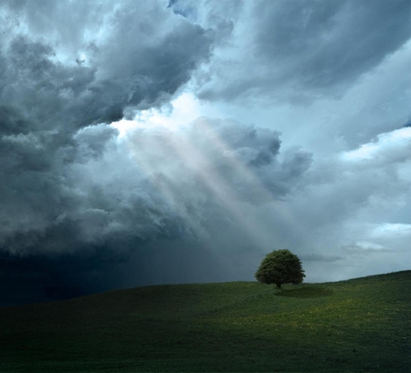 The Chosen One. - sky, landscape, sun, field, nature, cloud, sunray, scenery, tree