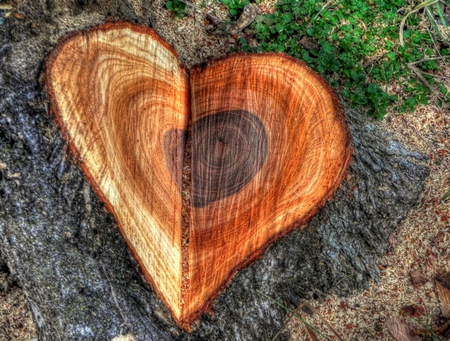 I Chopped My Heart for You - chopped, heart, wood, valentine