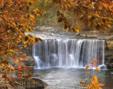 Beautiful Waterfalls - leaves, water, falls, trees