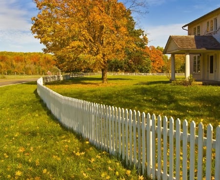 Along the Fence - house, tree, fence, grass