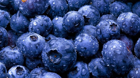 Blueberries - nice, juicy, others, fruits, food, blueberries