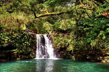 Little Ponds Waterfall - water, falls, pond, trees