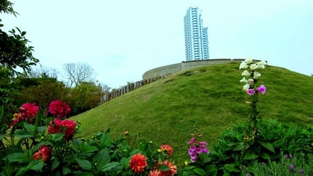 Park - flowers, park, hillside, grass