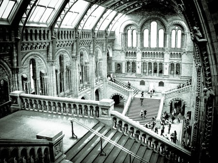 Hall - britain, british, museum, entrance, london, light, architecture, monkey, natural, england, stairs, history, black and white, english