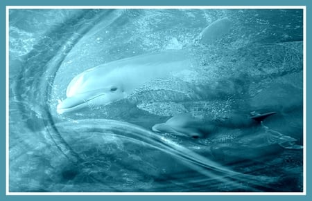 Together we are strong - dolphins, fantasy, blue, sea, ocean, dream, animals