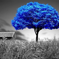 Blue Tree