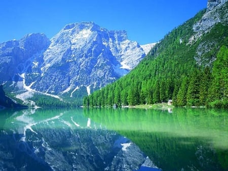 Green Lake Mountain Reflection - reflect, nature, green, lake, forest, mountain