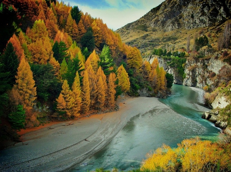 autumn on the river - nature, autumn, new zealand, forest, landscape, river